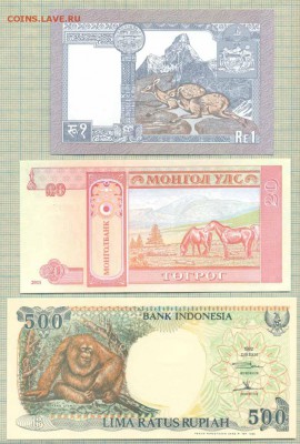 Животные на бонах, 10 бон,фикс, 250 руб - ж5