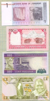 Животные на бонах, 10 бон,фикс, 250 руб - ж3