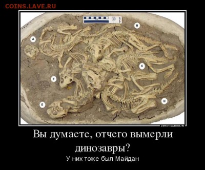 Ну а теперь про Украину - 467830_vyi-dumaete-otchego-vyimerli-dinozavryi_demotivators_to