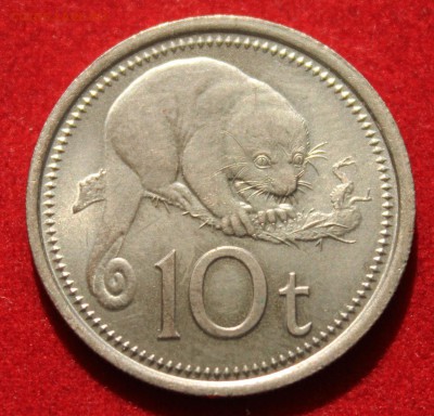 С рубля ПАПУА НОВАЯ ГВИНЕЯ 10t 1975г.ЗВЕРУШКА  до 21.08.14г. - IMG_2379.JPG