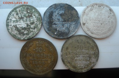10 копеечники царские - DSCN3015
