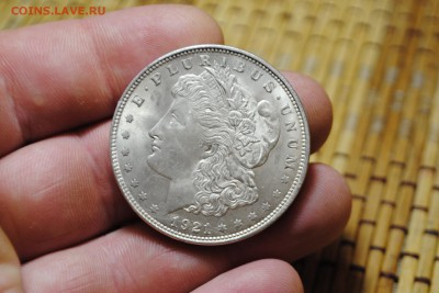 ДОЛЛАР США 1921 Аg до 20.08.14 - _CSC0980[2].JPG