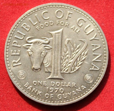 С РУБЛЯ ФАО GUYANA 1 доллар 1970г. КОРОВА до 25.08.14г. - IMG_3450.JPG