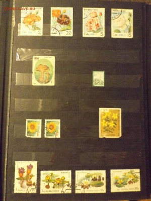 Марки в альбоме,разные - DSCF3236.JPG