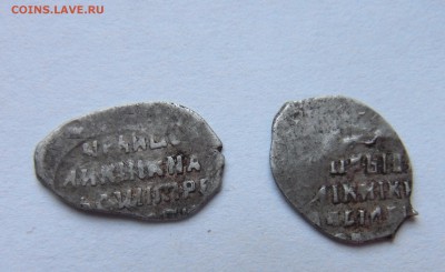 Чешуйки на определении. - RIMG1313.JPG