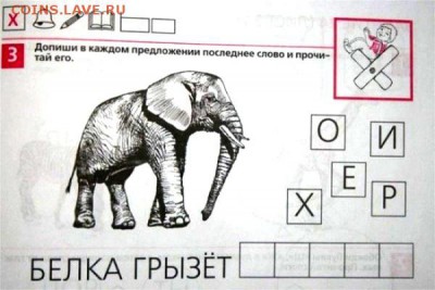 И опять - одним абзацем! - Орехи