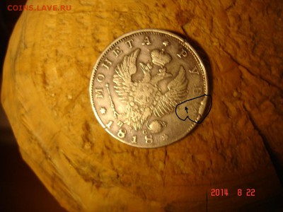 Брак выделен - DSC03212.JPG
