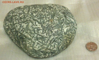 Вольные старатели - 2