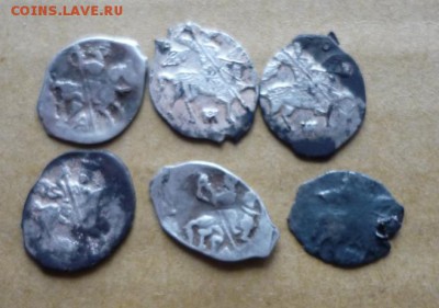 6 копеечников до 24.08 в 22,00 - P1130382.JPG
