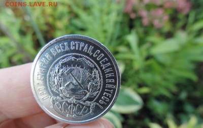 КРАГОВЫЙ ПОЛТИННИК 1922 г.:КЛАДОВОЙ‰‰‰‰‰‰‰‰‰‰‰‰‰‰‰‰‰‰‰‰‰ - DSCN1256
