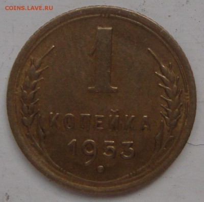 А ,Ф-116 с венчиком,не частая,первая - DSC04488.JPG