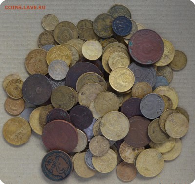 140 хороших - DSC_1492.JPG