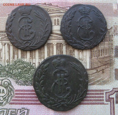не плохая сибирь на предпродажную - IMG_2440.JPG
