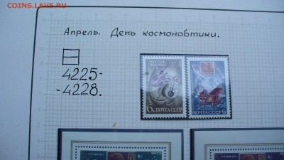 Оформление коллекций. - P1110127.JPG