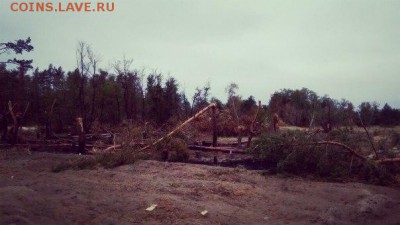 Ну а теперь про Украину - 234