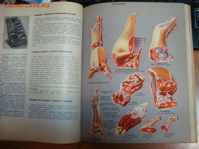 Книга о вкусной и здоровой пище. 1965 г. до 31 августа! - DSC09968.JPG