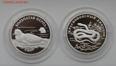 Ag925-Кр.Книга 2007г Нерпа и Динодон proof до 31.08 в 22-00 - 7-2.JPG