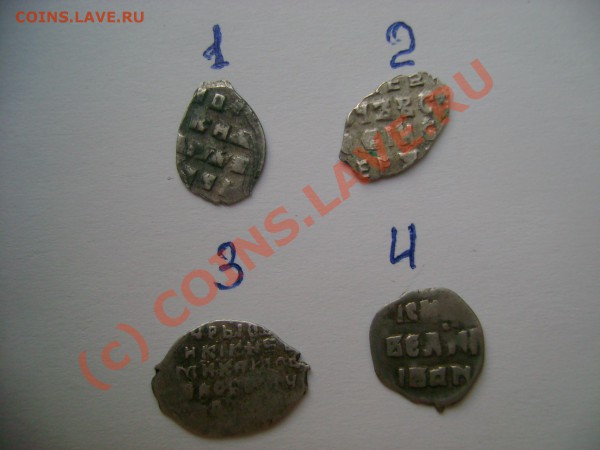 ЛОТ чешуек до 10.04.2010 в 21-00 - DSC06705.JPG