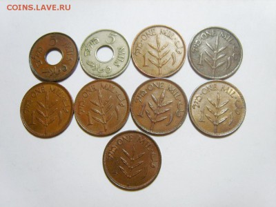 Монеты мира. Предпродажная оценка - S8302971_exposure.JPG