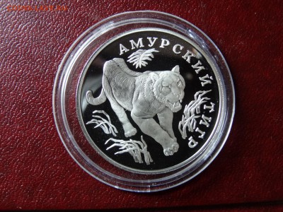 1 рубль 1993г Амурский тигр Proof до 04.09 22:00 МСК - DSC04911.JPG