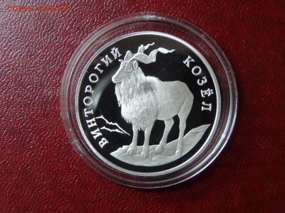 1 рубль 1993г Винторогий козёл Proof до 04.09 22:00 МСК - DSC04915.JPG