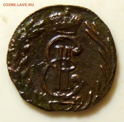 Полушка сибирка 1771 до 1.09. - P1090033.JPG