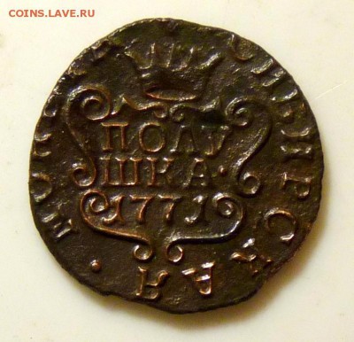 Полушка сибирка 1771 до 1.09. - P1090032.JPG