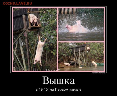 юмор - 1373808008880759