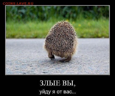 Ну а теперь про Украину - ypNJclg53Yg