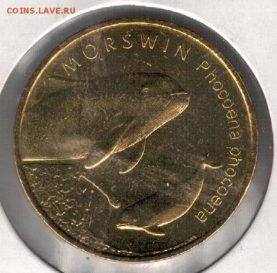 ПОЛЬША 2 ЗЛОТЫХ 2004 МОРСКАЯ СВИНЬЯ 04.09 В 22.00МСК (9785) - 4-пол
