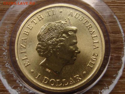 Австралия 1 доллар 2011 ушастик до 03.09.14 в 21.00 М - IMG_4007