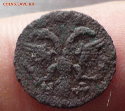 Полушка 1719 год буквами ,титло . до 03.09 в 22.20 - P1130662.JPG