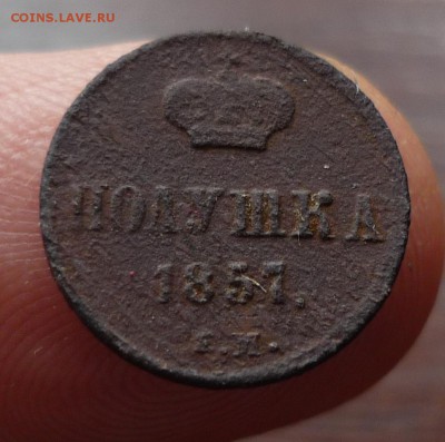 Полушка 1857 ем до 03.09 в 22.20 - P1130670.JPG