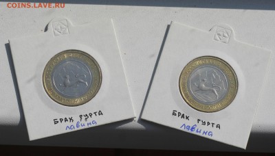 4шт Алании гурт сочи 2 из них с лавиной до 06.09 в 22-00 - 010.JPG