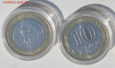 4шт Алании гурт сочи 2 из них с лавиной до 06.09 в 22-00 - 009.JPG