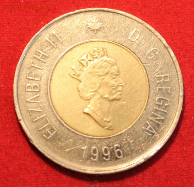 С рубля БМ КАНАДА 2 доллара 1996г. МЕДВЕДЬ до 8.09.14г. - IMG_3689.JPG