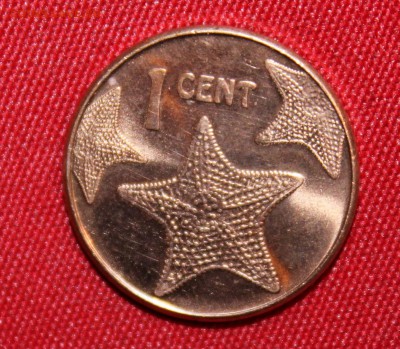 Конкурс «Veni Vedi Vici» - IMG_8815.JPG