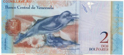 Венесуэла 2 боливара 2007 до 08.09.14 в 22.00мск (8607) - 1-1вен2