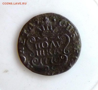 Полушка сибирка 1770 до 06.09. - P1090095.JPG