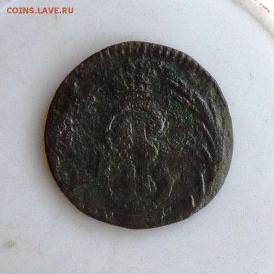 Полушка сибирка 1770 до 06.09. - P1090096.JPG