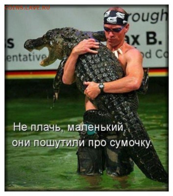 Кое-что о Крокодилах - olo