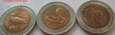 Набор КК 1992 год в АНЦе до 5 сентября - IMG_0721.JPG