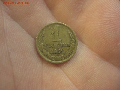 1 копейка 1964 ---------------- 10.09.14, в 22.10 - IMG_6939.JPG
