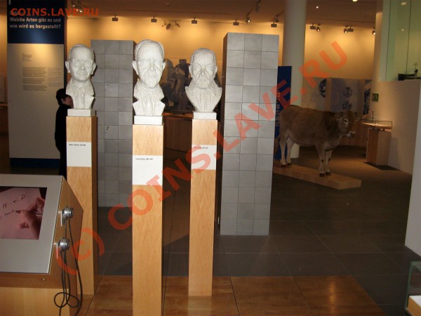 Музей Бундесбанка,Франкфурт на Майне. - 0358d689acbd