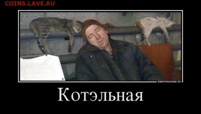 юмор - 93f6ccc9d8369869a4d701c9f79bcd1b-43656068_kotelnaya