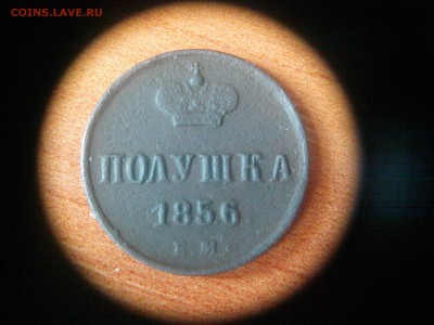 Полушка 1856 года окончание 15.09.2014 г. до 23.00 по МСК. - IMG03375