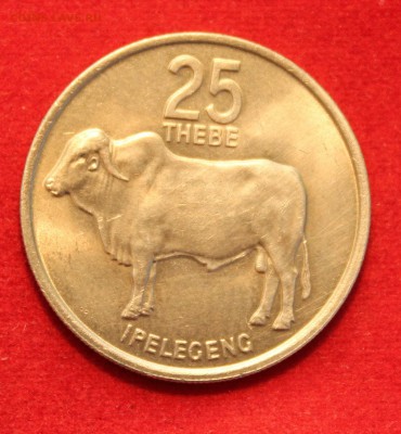 C рубля БОТСВАНА 25 THEBE 1976г.  БЫК до 14.09.14г. в 22-00 - IMG_0291.JPG