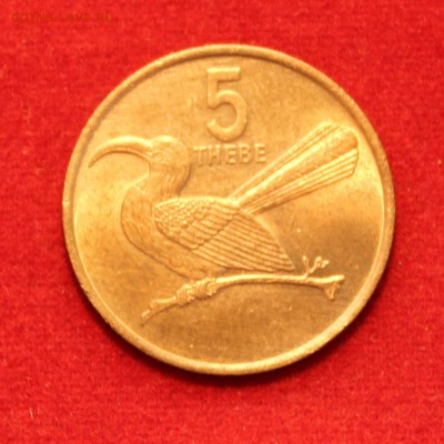 C рубля БОТСВАНА 5 THEBE 1976г.  ПТИЦА до 14.09.14г. в 22-00 - IMG_0304.JPG