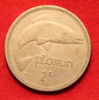 C рубля ИРЛАНДИЯ флорин 1962г. ЛОСОСЬ до 14.09.14г. в 22-00 - IMG_0292.JPG