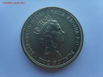 09.14.до22.00. - S8306722.JPG